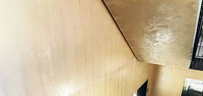 Gyldenløve 5   800x380