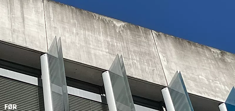 Ørsted Gymnasium før 1