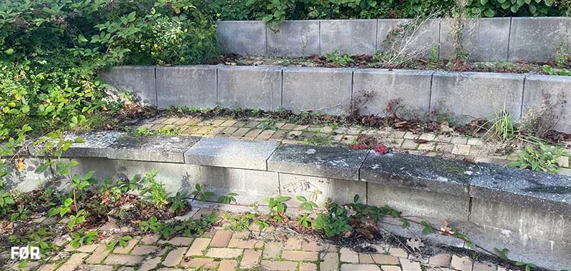 Rungsted Gym 6 800x380