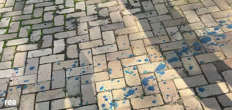 Rungsted Gym 7 800x380