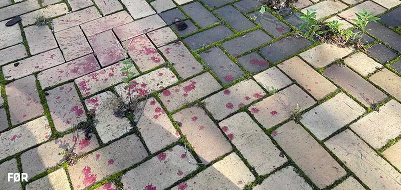 Rungsted Gym 9 800x380